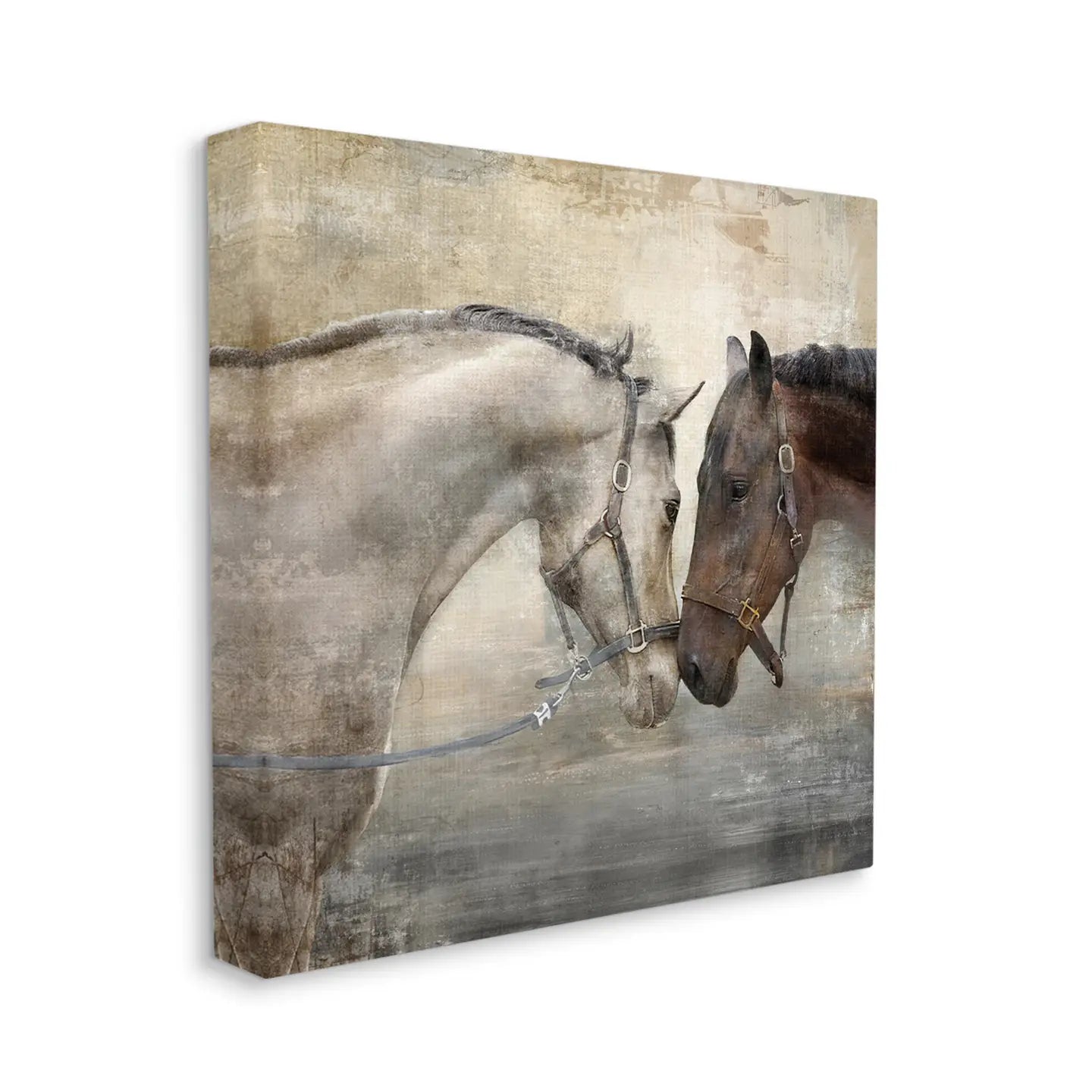 Horse Couple Textured Farm Animal Photograph Canvas Wall Art SI-aap-439_cn_17x17