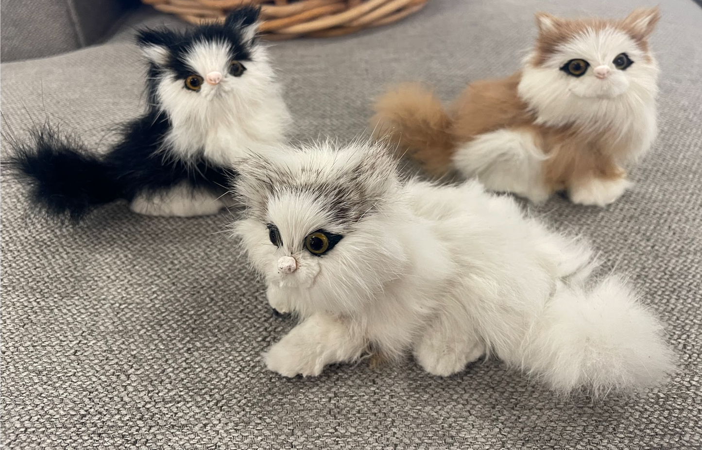 Medium Cats GL-20047